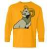 Heavy Cotton Youth Long Sleeve T-Shirt. Thumbnail