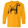 Heavy Cotton Youth Long Sleeve T-Shirt. Thumbnail