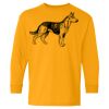 Heavy Cotton Youth Long Sleeve T-Shirt. Thumbnail