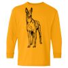 Heavy Cotton Youth Long Sleeve T-Shirt. Thumbnail