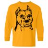 Heavy Cotton Youth Long Sleeve T-Shirt. Thumbnail