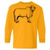 Heavy Cotton Youth Long Sleeve T-Shirt. Thumbnail
