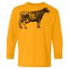 Heavy Cotton Youth Long Sleeve T-Shirt. Thumbnail