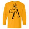 Heavy Cotton Youth Long Sleeve T-Shirt. Thumbnail