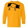 Heavy Cotton Youth Long Sleeve T-Shirt. Thumbnail