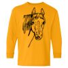 Heavy Cotton Youth Long Sleeve T-Shirt. Thumbnail