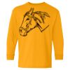 Heavy Cotton Youth Long Sleeve T-Shirt. Thumbnail