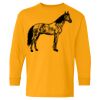 Heavy Cotton Youth Long Sleeve T-Shirt. Thumbnail