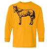 Heavy Cotton Youth Long Sleeve T-Shirt. Thumbnail