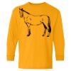 Heavy Cotton Youth Long Sleeve T-Shirt. Thumbnail
