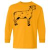 Heavy Cotton Youth Long Sleeve T-Shirt. Thumbnail