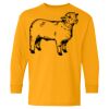 Heavy Cotton Youth Long Sleeve T-Shirt. Thumbnail