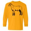 Heavy Cotton Youth Long Sleeve T-Shirt. Thumbnail
