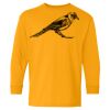 Heavy Cotton Youth Long Sleeve T-Shirt. Thumbnail