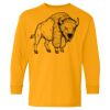 Heavy Cotton Youth Long Sleeve T-Shirt. Thumbnail