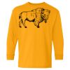 Heavy Cotton Youth Long Sleeve T-Shirt. Thumbnail