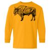 Heavy Cotton Youth Long Sleeve T-Shirt. Thumbnail
