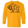 Heavy Cotton Youth Long Sleeve T-Shirt. Thumbnail