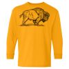 Heavy Cotton Youth Long Sleeve T-Shirt. Thumbnail