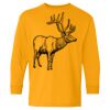 Heavy Cotton Youth Long Sleeve T-Shirt. Thumbnail