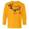 Heavy Cotton Youth Long Sleeve T-Shirt. Thumbnail