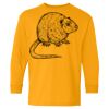 Heavy Cotton Youth Long Sleeve T-Shirt. Thumbnail