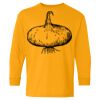 Heavy Cotton Youth Long Sleeve T-Shirt. Thumbnail