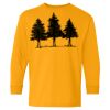 Heavy Cotton Youth Long Sleeve T-Shirt. Thumbnail