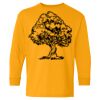 Heavy Cotton Youth Long Sleeve T-Shirt. Thumbnail