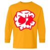 Heavy Cotton Youth Long Sleeve T-Shirt. Thumbnail