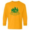 Heavy Cotton Youth Long Sleeve T-Shirt. Thumbnail
