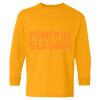 Heavy Cotton Youth Long Sleeve T-Shirt. Thumbnail