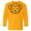 Heavy Cotton Youth Long Sleeve T-Shirt. Thumbnail