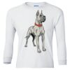 Ultra Cotton® Youth Long Sleeve T-Shirt. Thumbnail