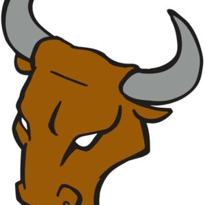Bulls Thumbnail