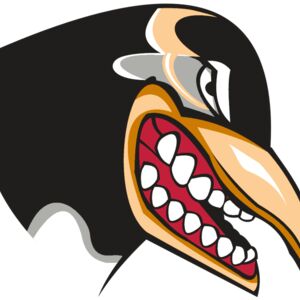 Penguins Thumbnail